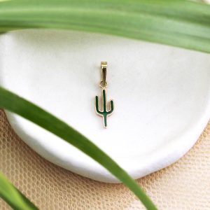 آویز کاکتوس مینایی